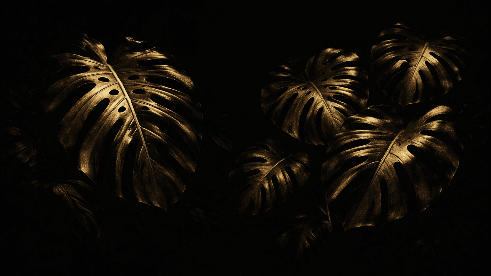 위너스 크루 히어로 이미지